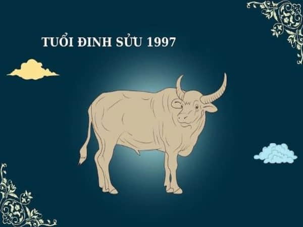 Tìm hiểu về người tuổi Sửu 1997 và tuổi Ngọ 2002