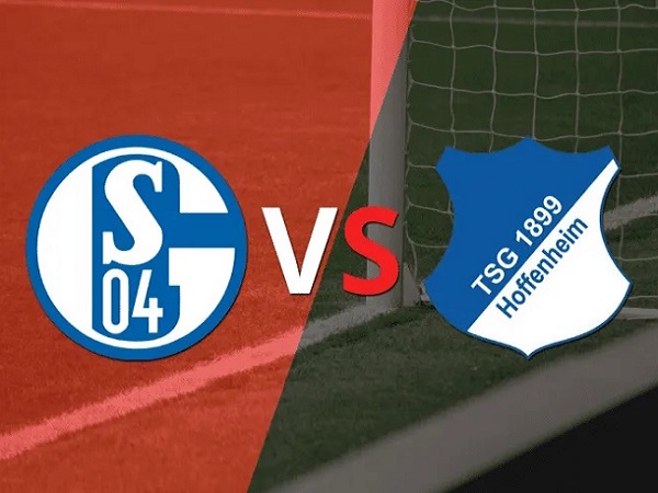 Tip kèo Schalke vs Hoffenheim – 01h30 15/10, VĐQG Đức