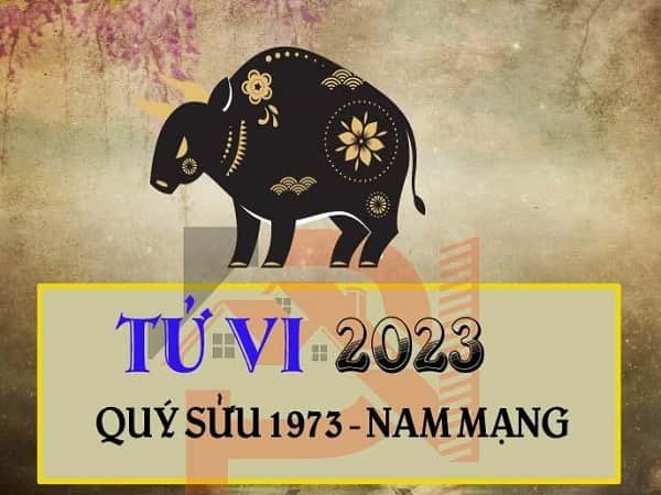tử vi tuổi Nhâm Tý năm 2023 nam mạng