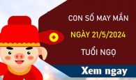 Con số may mắn tuổi Ngọ 21/5/2024 trúng lớn trăm tỷ