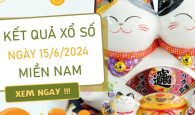 Phân tích XSMN 15/6/2024 đỉnh cao dự đoán miền Nam
