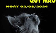 Phân tích con số may mắn tuổi Quý Mão ngày 2/8/2024 thứ 6 hôm nay