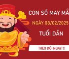 Sức mạnh kì diệu cùng số tài lộc tuổi Dần 8/2/2025