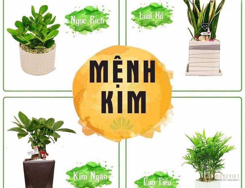 Người mệnh Kim có các đặc điểm gì?