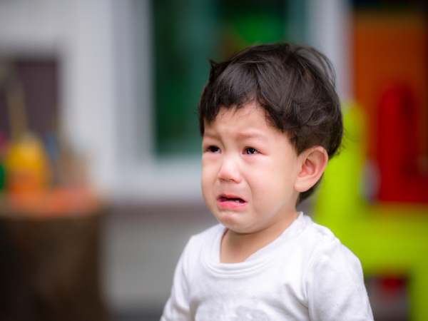 tâm lý trẻ 2 tuổi bắt đầu đi học