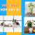 tuổi mão hợp cây gì