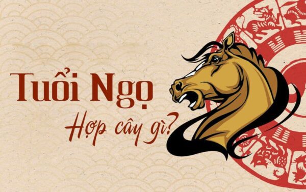 Những lưu ý khi chọn cây cho người tuổi Ngọ