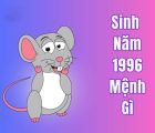 sinh năm 1996