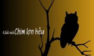 Giải mã chim lợn kêu 1 tiếng có điềm gì?