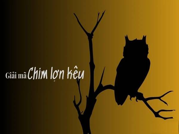Giải mã chim lợn kêu 1 tiếng có điềm gì?