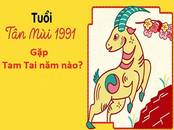 Vậy tuổi Mùi 1991 gặp Tam Tai vào những năm nào?