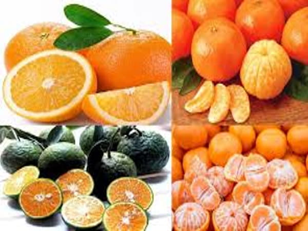Trái cây tươi, đặc biệt là quả có múi