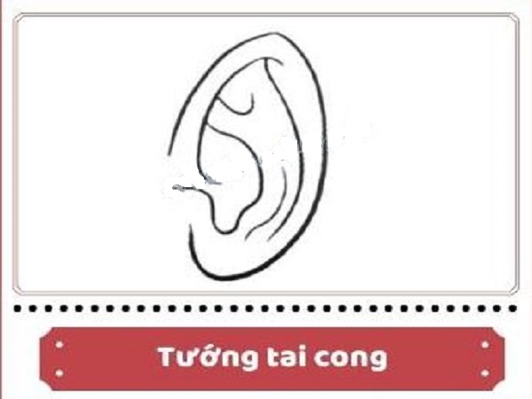 Đặc điểm nhận diện tai cong